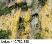 Drainage of organic wastewater from an overflowing sewerage system from a cliff to the Vysoky Bereg beach in Anapa, Krasnodar Territory, August 2021. Feces flow down. Inaction of city utilities. Стоковое фото, фотограф Юлия Петровская / Фотобанк Лори