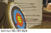 Target for shooting - an arrow pierces the target. Стоковое видео, видеограф Константин Шишкин / Фотобанк Лори
