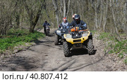 A group of ATV riders and an enduro motorcyclist riding on a dirt road in the spring forest. Front view. Extreme type of outdoor activities. Tourist trips on an quad bike (2022 год). Редакционное фото, фотограф Воловодов Владимир / Фотобанк Лори