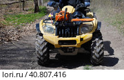 Close-up of a yellow quad bike riding on a forest dirt road. Front view. Extreme type of outdoor activities. Tourist trips on an quad bike. Стоковое фото, фотограф Воловодов Владимир / Фотобанк Лори