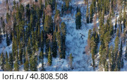 Горный Алтай зимой: лес на берегу Телецкого озера. Вид с воздуха. Altai mountains in winter: forest on the shores of Teletskoye Lake. Aerial view. Стоковое видео, видеограф Евгений Романов / Фотобанк Лори