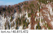Горный Алтай зимой: лес на берегу Телецкого озера. Вид с воздуха. Altai mountains in winter: forest on the shores of Teletskoye Lake. Aerial view. Стоковое видео, видеограф Евгений Романов / Фотобанк Лори