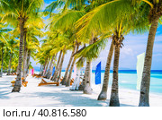 Tropical beach at Panglao Bohol island with chairs on the white sand beach with blue sky and palm trees. Travel Vacation (2014 год). Стоковое фото, фотограф Igor Tichonow / Фотобанк Лори