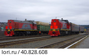 Тепловоз ТЭМ18ДМ-595 и тепловоз ТЭМ18ДМ-528, станция Кын, Пермский край (2021 год). Редакционное фото, фотограф Алексей Иванов / Фотобанк Лори