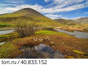 Summer landscape with a mountain stream. The beautiful northern nature of the Arctic. The slopes of the hills covered with tundra. Nice sunny weather. Golden Ridge, Chukotka, Siberia, Far East Russia. Стоковое фото, фотограф Андрей Степанов / Фотобанк Лори