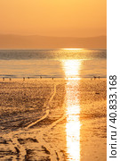 Morning seascape at sunrise. Seashore at low tide. Car track and birds on the shallows. Golden morning sunlight and glare on the water. View of the shallows and the sea bay. Natural background. Стоковое фото, фотограф Андрей Степанов / Фотобанк Лори