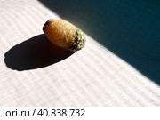 Gallstone disease, cholelithiasis - the formation of stones, stones in the gallbladder, bile ducts. Gallstones. A large gallstone removed from a patient's body, 2.5 cm long. Стоковое фото, фотограф Юлия Петровская / Фотобанк Лори