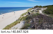 Beautiful Grey Dunes at the Curonian Spit. Стоковое фото, фотограф Анна Кривицкая / Фотобанк Лори