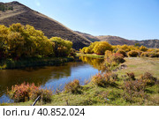 Autumn landscape. Yellow trees and bushes on the bank. Стоковое фото, фотограф Виктория Тельминова / Фотобанк Лори