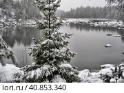 River Canyon and rocks in winter. Стоковое фото, фотограф Анна Кривицкая / Фотобанк Лори