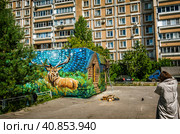Фотограф фотографирует художника который красит стену (2020 год). Редакционное фото, фотограф Илья Старков / Фотобанк Лори