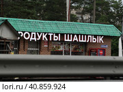 Продукты, шашлык на трассе М7 (2023 год). Редакционное фото, фотограф Дмитрий Неумоин / Фотобанк Лори