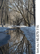 a view of winter in the park in Ulyanovsk. Стоковое фото, фотограф Ольга Морозова / Фотобанк Лори