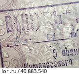 Штамп в паспорте с информацией о группе крови. Стоковое фото, фотограф Цибаев Алексей / Фотобанк Лори
