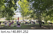 Sports classes on weekends in the Khodynskoye Field area of Moscow under the "Sports Weekend" program of the Moscow Government. Russia. Moscow. 09.07.2023. Стоковое видео, видеограф Ярославский Максим / Фотобанк Лори