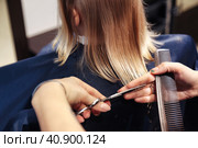Close-up of barber woman make fashionable hairstyle for cute little blonde girl in barbershop. Hair salon, hairdresser makeup hairdo for kid in barber shop. Haircare beauty concept. Copy ad text space. Стоковое фото, фотограф Aleksandr Golubev / Фотобанк Лори