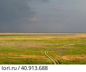 A dirt road through the prairies against the background of an overcast sky. The spring steppe in bright bright colors, along which the sandy road to the sea bay meanders, the sky is in the background. Стоковое фото, фотограф Александр Кротков / Фотобанк Лори