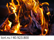 Огонь крупным планом. Ночной костер в лесу. / Fire close-up. Night fire in the forest. Стоковое фото, фотограф Наталья Баранова / Фотобанк Лори