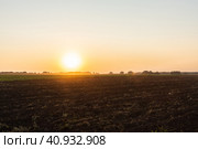 Убранное поле пшеницы подготовлено к посевным работам. Сельское хозяйство. Стоковое фото, фотограф Андрей Пустякин / Фотобанк Лори