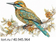 Drawing of a bee-eater on a white background, watercolor style, Generative AI. Стоковое AI-изображение, AI-художник Анна Кривицкая / Фотобанк Лори
