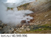 Долина гейзеров. Камчатка. Россия июль 2023. Стоковое фото, фотограф Владимир Макеев / Фотобанк Лори
