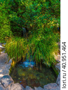 Waterfall of "Tears" in the Vorontsovsky Park. Стоковое фото, фотограф Анна Кривицкая / Фотобанк Лори