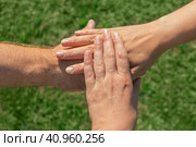 Joined hands as a team. Business teamwork. Close up group of multiracial friends meeting join hands together. Diversity people. Partnership volunteer community. Diverse multiethnic Partners. Top View. Стоковое фото, фотограф Марина Демидюк / Фотобанк Лори