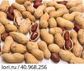 Bunch of ecological peanuts on a white background. Стоковое фото, фотограф Татьяна Яцевич / Фотобанк Лори