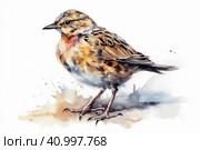 Lark on a white background, watercolor style, Generative AI. Стоковое AI-изображение, AI-художник Анна Кривицкая / Фотобанк Лори