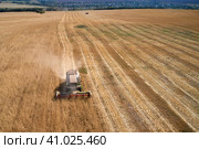 Panoramic aerial view of a golden wheat field with a combine harvester in operation. Стоковое фото, фотограф Роман Дзюбало / Фотобанк Лори