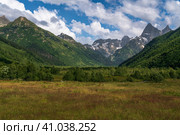 View of the floodplain of the Klukhor River in the northern foothills of the Caucasus Mountains near the village of Dombay on a sunny summer day, Karachay-Cherkessia, Russia. Стоковое фото, фотограф Ula Ulachka / Фотобанк Лори