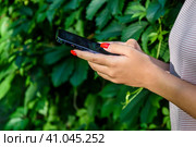 Смартфон в руках у девушки летним вечером на фоне зелёной стены из дикого винограда. Стоковое фото, фотограф Владимир Устенко / Фотобанк Лори