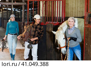 Older woman rancher leading horse out of stall while Asian woman holding saddle. Стоковое фото, фотограф Яков Филимонов / Фотобанк Лори