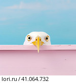 A white seagull with a goofy look on a pink background. Created by AI. Стоковое AI-изображение, AI-художник Ярославский Максим / Фотобанк Лори