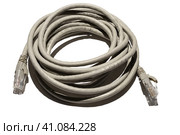 Кабель витая пара Utp с коннекторами ethernet RJ45 изолировано на белом фоне. Стоковое фото, фотограф Константин Григорьев / Фотобанк Лори