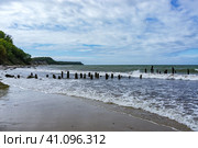 A sandy seashore. Old breakwaters. Sandy shore and storm at sea. Стоковое фото, фотограф Zima Nadezhda / Фотобанк Лори