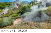 Valley of geysers. Kamchatka. Steam and smoke from fumaroles rise above the ground. Sulphurous deposits on the soil. Lush green vegetation on the hills. A sunny summer day. Blue sky. Стоковое фото, фотограф Вера Ивановна Кубарева / Фотобанк Лори