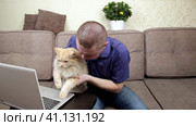 A man blogs about pets with his big fluffy cat. Стоковое видео, видеограф Сергей Сергеев / Фотобанк Лори