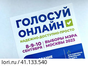 Дистанционное электронное голосование (2023 год). Редакционное фото, фотограф Victoria Demidova / Фотобанк Лори