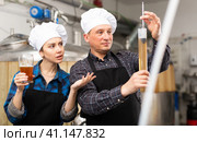 Man and woman brewmasters measuring beer with alcoholometer. Стоковое фото, фотограф Яков Филимонов / Фотобанк Лори