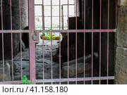 Lattices with lock in a closed passage in the fortress. Стоковое фото, фотограф Леонид Еремейчук / Фотобанк Лори