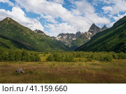 View of the floodplain of the Klukhor River in the northern foothills of the Caucasus Mountains near the village of Dombay on a sunny summer day, Karachay-Cherkessia, Russia. Стоковое фото, фотограф Ula Ulachka / Фотобанк Лори