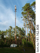 Telecommunication tower with antenna system for radio, microwave and television communications, located in a forest against a blue sky. Antenna tower, view from the ground. Konevets Island, Karelia. Стоковое фото, фотограф Оксана Медведева / Фотобанк Лори