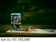 Dollars in a mousetrap, the concept of abandoning dependence on the dollar. Стоковое фото, фотограф Igor Skripachev / Фотобанк Лори
