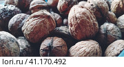 Walnuts close-up. Harvest of nuts. Walnut fruits, rounded large single single-seeded drupes. A healthy diet that includes glycerides of linoleic, oleic, stearic, palmitic and linolenic acids. Стоковое фото, фотограф Юлия Петровская / Фотобанк Лори