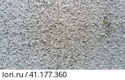 Finishing plaster coating. The facade of the building is uneven, rough to the touch. Close-up of a wall texture with spots and pimples. Стоковое фото, фотограф Юлия Петровская / Фотобанк Лори
