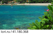 Red frangipani plumeria flowers wiggle by the ocean breeze. Tropical sandy beach with rippled turquoise blue water in background. Стоковое фото, фотограф Igor Tichonow / Фотобанк Лори