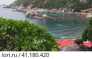 Timelaps of tropical beach. Long tail boats in the bay with calm rippled ocean water. Tourist are snorkeling around. Big plumeria tree moved by the breeze in foreground. Koh Tao, Thailand. Стоковое фото, фотограф Igor Tichonow / Фотобанк Лори