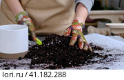 Hands in gloves mix ingredients for the soil of home potted plants, peat, earth, sand, perlite, vermiculite, coconut. A mixture for planting plants in a pot. Layout. Стоковое видео, видеограф Ольга Симонова / Фотобанк Лори