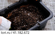 Hands in gloves mix ingredients for the soil of home potted plants, peat, earth, sand, perlite, vermiculite, coconut. A mixture for planting plants in a pot. Layout. Стоковое видео, видеограф Ольга Симонова / Фотобанк Лори